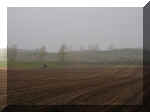 tractorfield1.jpg (449020 bytes)